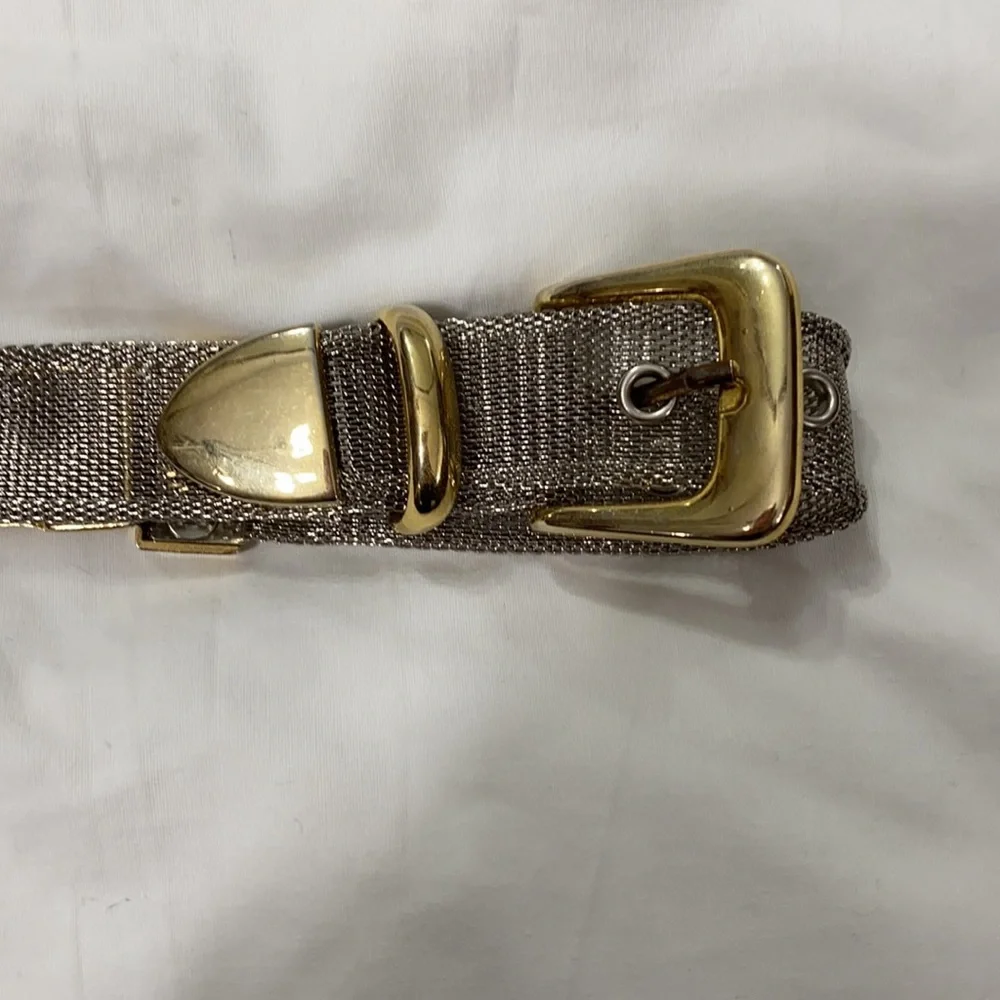 Silver Chain Link w/ Gold Hardware - Picture 2 of 5